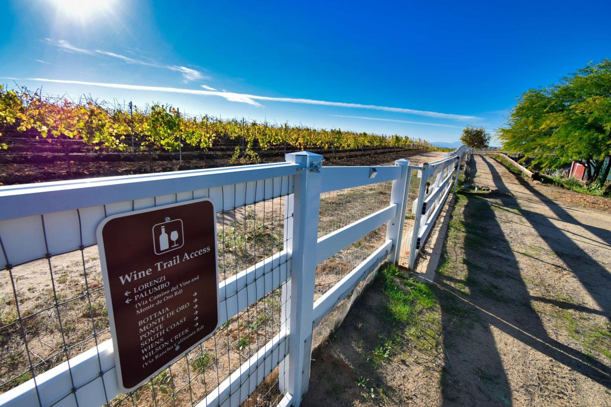 Peppertree Lane Ranch -- Seven-Acre Ranch In The Heart Of Wine Country 호텔 테메큘라 외부 사진