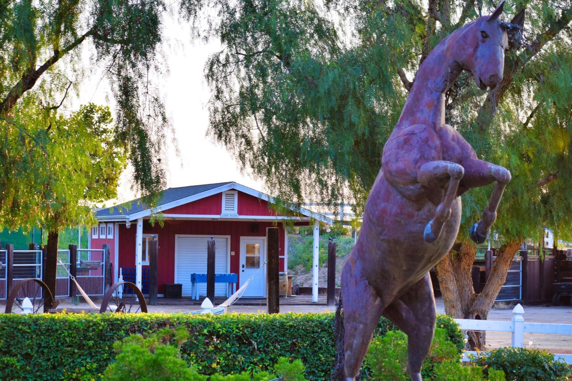 Peppertree Lane Ranch -- Seven-Acre Ranch In The Heart Of Wine Country 호텔 테메큘라 외부 사진