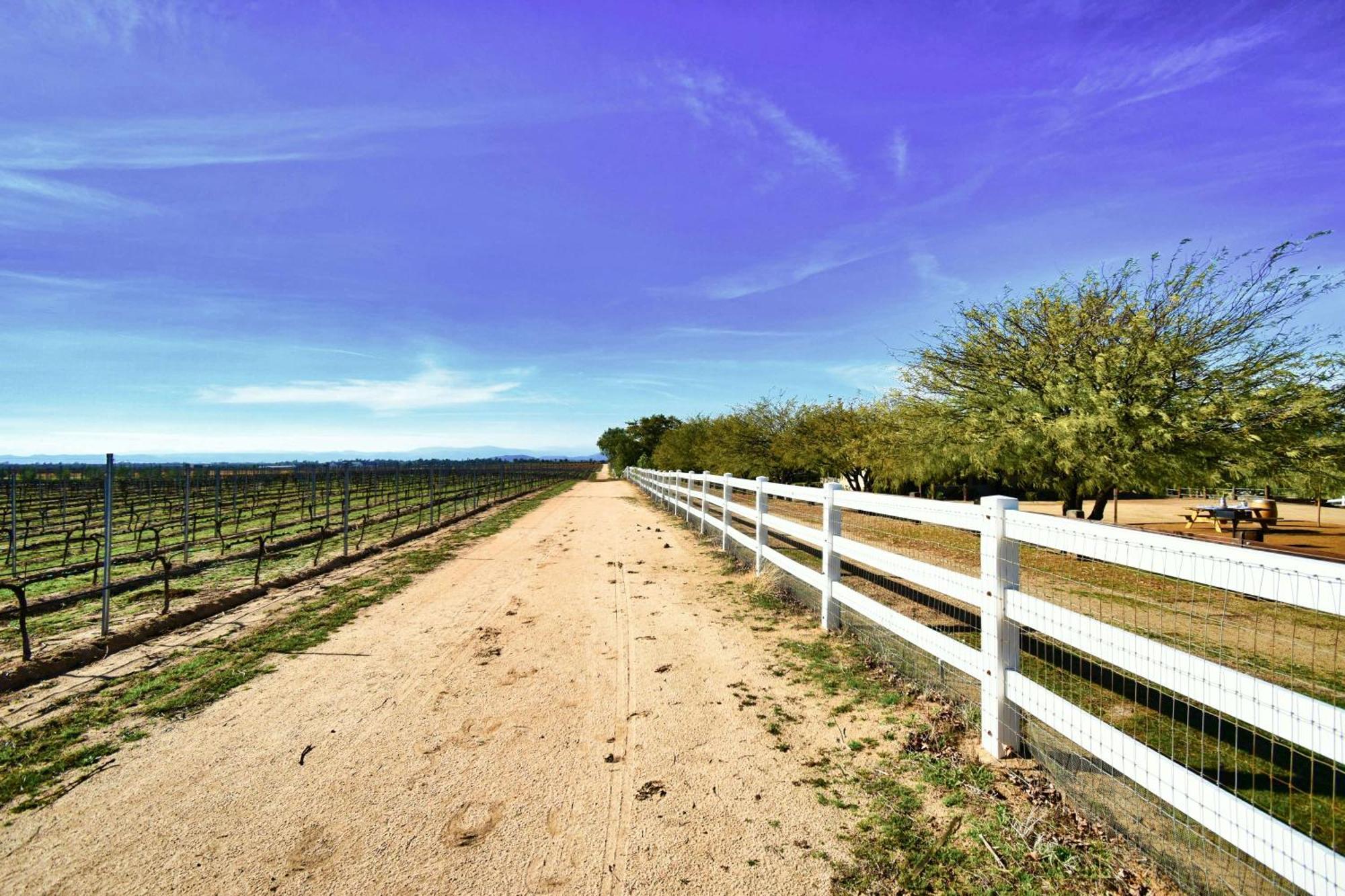Peppertree Lane Ranch -- Seven-Acre Ranch In The Heart Of Wine Country 호텔 테메큘라 외부 사진